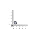 Load image into Gallery viewer, 925 Sterling Silver Elegant Stud Earrings for Women - Taraash