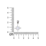 Load image into Gallery viewer, 925 Sterling Sterling Silver Pink Mother of Pearl Star Pendant with Chain - Taraash