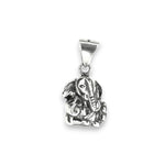 Load image into Gallery viewer, Taraash 925 Sterling Silver Divine Ganesha Pendant For Kids - Taraash