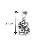 Load image into Gallery viewer, Taraash 925 Sterling Silver Divine Ganesha Pendant For Kids - Taraash