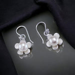 Load image into Gallery viewer, taraash sterling silver earrings