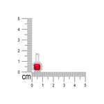 Load image into Gallery viewer, 925 Sterling Silver Jewellery Set for Women - Taraash
