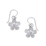 Load image into Gallery viewer, taraash silver drop earrings

