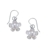 taraash silver drop earrings
