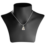 Load image into Gallery viewer, Taraash Sterling Silver Hanuman Pendant With Chain For Men COMBO PDCH 148 - Taraash

